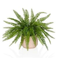 planta artificial  planta en maceta proliferum helecho 35 cm plastico verde hjh office