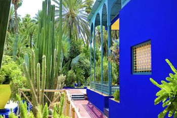 Cuadro de jardín majorelle impresión sobre lienzo 60x40cm