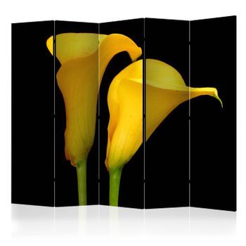 Biombo - Two Yellow Calla Flowers On A Black Background Ii (225x172 Cm)