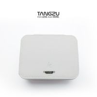 bolsa para auriculares tangzu hifi blanca max
