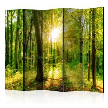 Biombo - Forest Rays Ii (225x172 Cm)