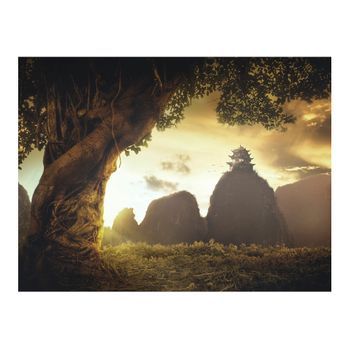 Papel Pintado 3d - Mysterious China (350x270 Cm)