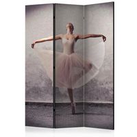 biombo - classical dance - poetry without words 135x172 cm