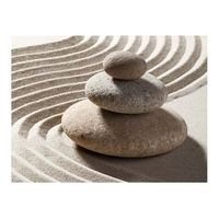 papel pintado 3d - un jardin zen 350x270 cm