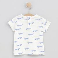 cotton fish camiseta 90676-child para nino