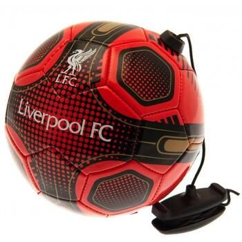Liverpool Fc Complemento deporte Taille 2 TA8143 para hombre