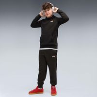 puma polar ess 2 color small no 1 logo hoodie fl b para nino