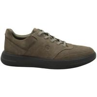 ecco zapatillas ecc-i26-551654-ar para hombre