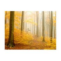 papel pintado 3d - bosque - otoro 250x193 cm