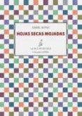 Hojas secas mojadas
