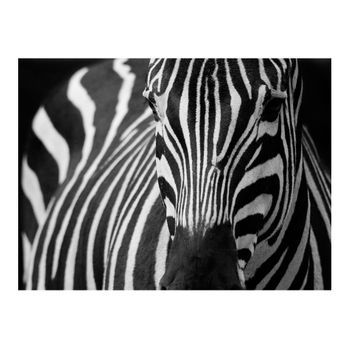 Papel Pintado 3d - Blanco Con Rayas Negras (200x154 Cm)
