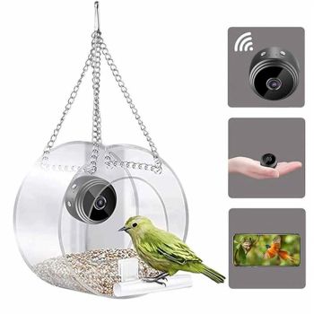 Cámara ZANLURE Inteligente para Identificar Alimentador de Aves, Grabación de Video HD 1080P, Monitoreo en Tiempo Real a