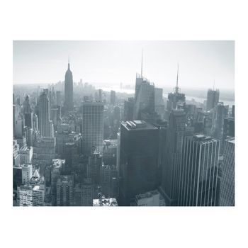 Papel Pintado 3d - Panorama De Nueva York En Blanco Y Negro (400x309 Cm)