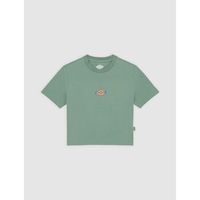 dickies tops y camisetas maple valley dk0a4xpo-l191 sea spray para mujer