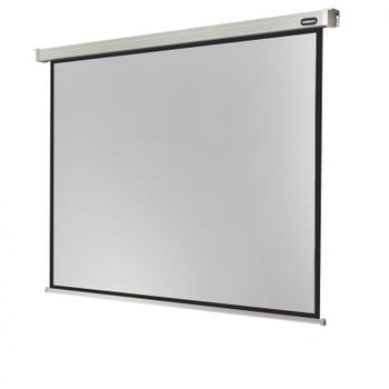 Celexon Electric Professional Pantalla de Proyección Eléctrica 300x225cm