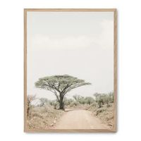 cuadro tree in the savana i