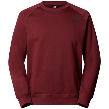 The North Face Jersey M RAGLAN BOX NSE CREW para hombre