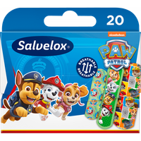 20 apositos infantiles paw patrol patrulla canina