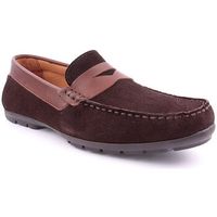 pelflex mocasines m mocassin man para hombre