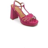 daniela vega sandalias 2449 para mujer