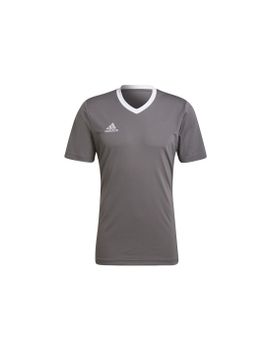 Camiseta de Fútbol adidas Ent22 Hombre