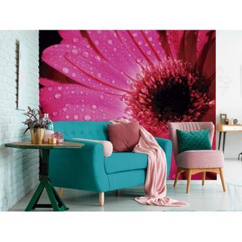 Fotomural Vinilo Floral Frescor Rosa 600 X 300 Cm