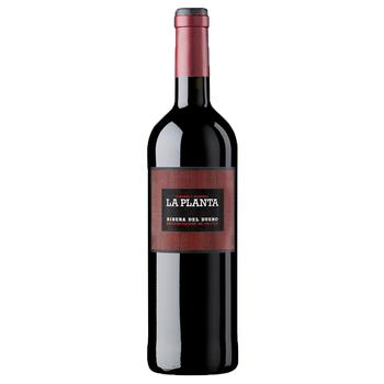 Arzuaga La Planta Tempranillo Joven Magnum 1, Vino Tinto, D.o. Ribera Del Duero, Pack 3 Botellas 150 Cl, 13,5% Vol.
