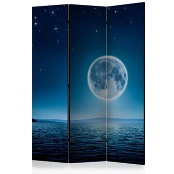 Biombo - Moonlit Night [room Dividers]