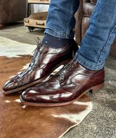 1146 asturias 381 brown eel