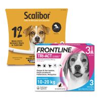 pack de antiparasitarios collar scalibor  pipetas frontline para perros - collar 48 cm  pipetas 10-20 kg