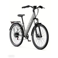 bicicleta electrica pixar cruiser 250w 36v 128ah 275x2 frenos de disco gris