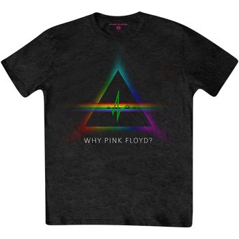 Pink Floyd Camiseta manga larga Why para mujer