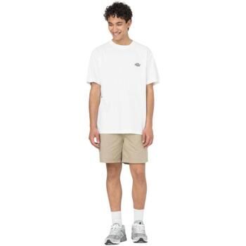 Dickies Pantalón pirata DK0A4XB2DS01 para hombre