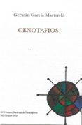 cenotafios (xvi premio nacional de poesía joven félix grande 2020)