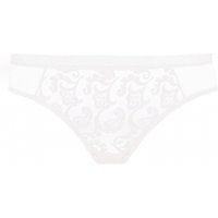 stella briefs