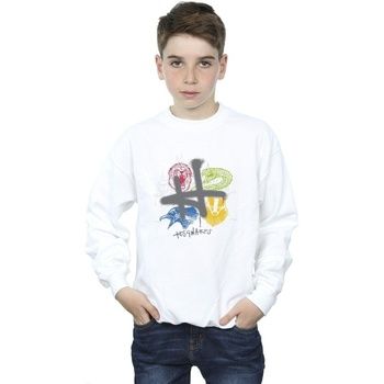 Harry Potter Jersey BI20305 para niño