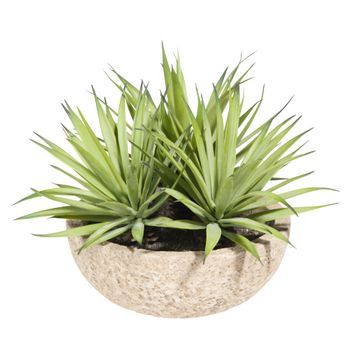 3 yucas artificiales en maceta