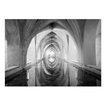 Papel Pintado 3d - Secret Passage (350x245 Cm)