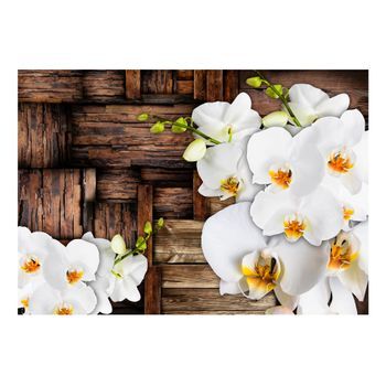 Papel Pintado 3d - Orquídeas Florecientes (400x280 Cm)