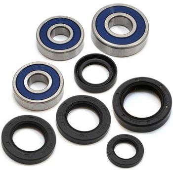 Kit de rodamientos de rueda All Balls 25-1311