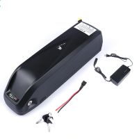 eu direct bateria de litio para bicicleta electrica hailong 48v 175ah bms  cargador de bateria de litio para bicicle