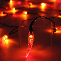 solar powered red chilli string lights 20 led
