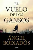 el vuelo de los gansos