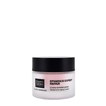 Black Diamond Epigence Expert Repair Día