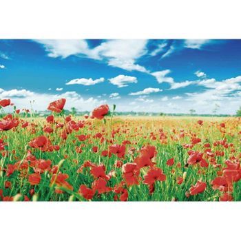 Fotomural Vinilo Campo De Amapolas 400 X 300 Cm
