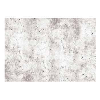 Papel Pintado 3d - Urban Style: Concrete (250x175 Cm)