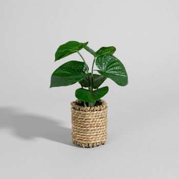 Planta artificial en maceta de ratán trenzado