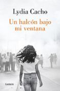 un halcon bajo mi ventana