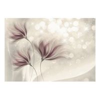 papel pintado 3d - luminous morning 300x210 cm