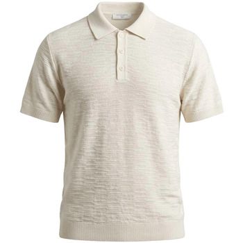 Daniele Fiesoli Polo 4095-100 ECRU para hombre